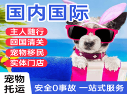 兰州空运公司国际宠物托运 【国